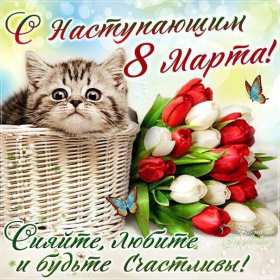 Открытки картинки с наступающим праздником 8 марта с женским днём,котик Открытка открытки картинка картинки с наступающим женским днём 8 марта,с наступающим 8 марта,открытка картинка весенний женский день с наступающим 8 мартаскачать