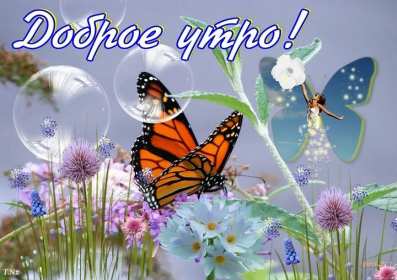 Открытка с добрым летним утром,доброго летнего утра,летнее утро Открытки картинки с добрым утром лета,доброе летнее утро,открытки открытка с пожеланиями доброго летнего утра,летнее доброе утро,доброе утро лета скачать бесплатно