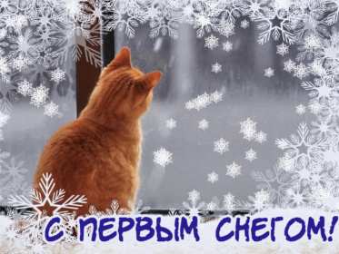Открытка гиф с первым снегом, поздравления с первым снегом . Открытки открытка картинки картинка гиф ,мерцающая с первым снегом,выпал первый снег,поздравления с первым снегом.с выподением первого снега,открытка гиф с первым снегом