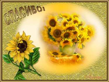 Открытка гиф,мерцающая спасибо,открытка гиф с надписью спасибо,подсолнух Открытки открытка гиф,анимационная с надписью спасибо,мерцающая открытка спасибо,большое спасибо,спасибо тебе огромное,открытки картинки гиф спасибо,благодарю .