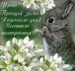 Открытки первый день весны ,с первым весенним днём ,1 марта,кролик Открытки открытка с первым весенним днём ,первый день весны,первое марта,картинки картинка с началом весны,с весной,открытка картинка первый день весны 1 марта скачать