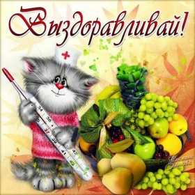 Открытки выздоравливай ,пожелания скорейшего выздоравления . Открытка открытки картинка картинки скорейшего выздоравления,выздоравливай,открытка с пожеланиями скорейшего выздоравления,выздоравливай,поправляйся скачать бесплатно