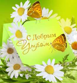 Открытка с добрым летним утром,доброго летнего утра,ромашка и бабочки Открытки картинки с добрым утром лета,доброе летнее утро,открытки открытка с пожеланиями доброго летнего утра,летнее доброе утро,доброе утро лета скачать бесплатно
