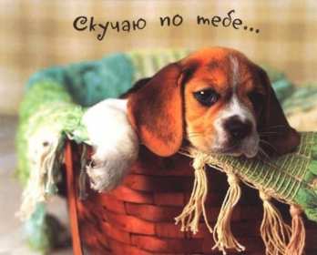 Открытка с надписью скучаю,красивая открытка скучаю,очень скучаю Открытка открытки скучаю ,очень скучаю, яркие , красивые картинки картинка скучаю,я скучаю открытка,скучаю,сильно скучаю открытка ,картинка скачать бесплатно . 