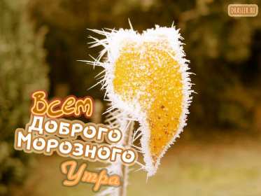 Открытка с добрым утром,с добрым морозным зимним утром,морозное утро Открытка картинка открытки картинки  с добрым морозным утром,с добрым зимним морозным утром,доброе морозное утро,открытка картинка морозного дорого утра скачать