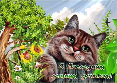 Открытка последний день лета,с последним днём уходящего лета Открытка картинка открытки картинки с последним днём лета,последний день лета,открытка картинка последний день лета,прощай лето,до свидания лето,конец лета открытки
