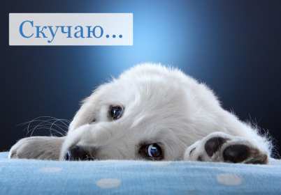 Открытки скучаю я скучаю по тебе,картинки с надписью скучаю . Картинки открытки с надписью ,с надписями скучаю,очень скучаю,картнки картинка скачую, надпись на открытки скучаю,очень скучаю,красивые открытки скучаю скачать.