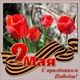 Картинка открытка с праздником 9 мая , день великой победы . Картинка картинки открытка открытки с праздником победы 9 мая,день великой победы,поздравления с праздником 9 мая,открытка картинка на 9 мая скачать бесплатно .