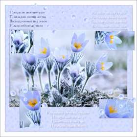 Открытка доброе весеннее утро,с добрым весенним утром,весеннее утро Картинка открытка доброе утро весны,с добрым весенним утром,весна доброе утро,картинки открытки с добрым весенним утром,весеннее доброе утро скачать бесплатно .