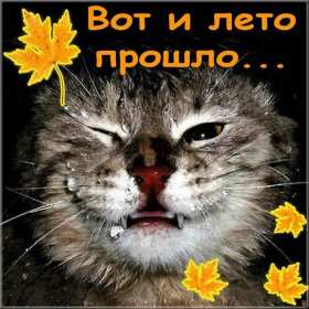 Открытка последний день лета,с последним днём уходящего лета Открытка картинка открытки картинки с последним днём лета,последний день лета,открытка картинка последний день лета,прощай лето,до свидания лето,конец лета открытки