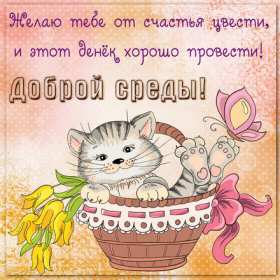 Открытка с пожеланиями доброго утра среды,с  добрым утром среда. Картинка,картинки с добрым утром среда,открытки открытка доброе утро среда,картинка,открытка красивая,яркая среда,доброе утро,дни недели,среда утро скачать бесплатно