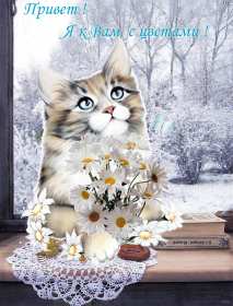 Открытка картинка гиф ,мерцающая привет,приветсвие,передать привет Открытка открытки гиф приветствие,привет,передаю привет картинки анимированные,мерцающие открытки привет,приветик,передаю привет,яркие открытки картинки гиф привет