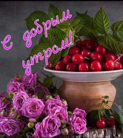 Открытки картинки с добрым утром ,доброе утро,пожелания доброго утра Открытка картинка красивая с пожеланиями доброго утра ,с добрым утром,открытки картинки доброе утро ,бодрого утра,пожелать доброго утра,доброе утро скачать бесплатно