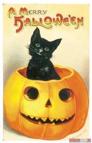 Открытки хэллоуин,на праздник хэллоуин,поздравления с хэллоуином Картинка открытка с праздником хэллоуин,на праздник хэллоуин,открытки открытка хэллоуин,поздравить с хэллоуином,поздравления на хэллоуин,картинки на хэллоуин скачать