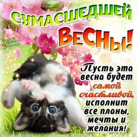 Открытки первый день весны ,с первым весенним днём ,1 марта,котик Открытки открытка с первым весенним днём ,первый день весны,первое марта,картинки картинка с началом весны,с весной,открытка картинка первый день весны 1 марта скачать