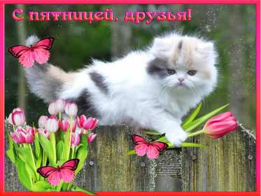 Открытка с пожеланиями доброго утра пятницы,доброе утро пятница Открытки,открытка с добрым утром пятница,красивые картинки,открытки пятница доброе утро,картинка,открытка с пятницей,с добрым утром,пятница доброе утро скачать 