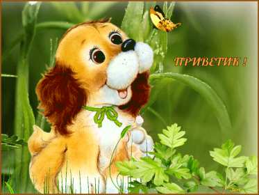 Открытка картинка гиф ,мерцающая привет,приветсвие,передать привет Открытка открытки гиф приветствие,привет,передаю привет картинки анимированные,мерцающие открытки привет,приветик,передаю привет,яркие открытки картинки гиф привет