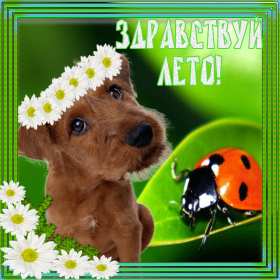 Открытка гиф с первым днём лета,первое июня , с началом лета. Открытка открытки гиф ,мерцающая с наступлением лета,первый летний день,картинка картинки гиф,анимационные с первым днём лета,1 июня начало лета скачать бесплатно