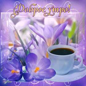 Открытка доброе весеннее утро,с добрым весенним утром,весеннее утро Картинка открытка доброе утро весны,с добрым весенним утром,весна доброе утро,картинки открытки с добрым весенним утром,весеннее доброе утро скачать бесплатно .