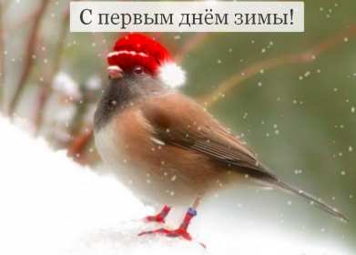 Открытки с поздравлениями первый день зимы,начало зимы,1 декабря Открытки открытка поздравления с наступлением зимы,первый день зимы,первое декабря,картинки картинка первый день  зимы,красивая зимняя открытка начало зимы,первый день зимы