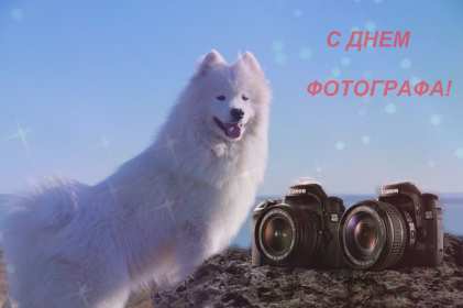 Открытка картинка день фотографа,праздником день фотографа,собака Открытка открытки картинка картинки день фотографа,с проф.праздником день фотографа,на день фотографа,красивая картинка открытка с днём фотографа скачать бесплатно