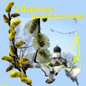 Открытка картинка с вербным воскресеньем,на вербное,с вербным Открытки открытка картинки картинка вербное,на вербное воскресенье,с вербным воскресеньем,красивая открытка картинка вербное,вербное воскресенье скачать бесплатно
