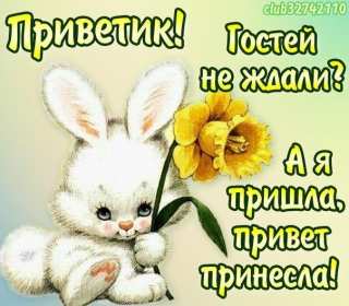 Открытки картинки привет,приветствие,красивые открытки привет Картинка открытка привет,передаю привет,открытки картинки приветствие,привет,яркие открытки передаю привет,приветик,приветствие,картинка привет скачать бесплатно