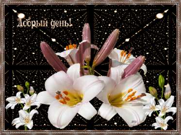 Открытка гиф , мерцающая добрый день,пожелания доброго дня . Открытка открытки картинка картинки гиф,анимационные с пожеланиями доброго дня,добрый день,мерцающая открытка картинка гиф добрый день,доброго дня скачать бесплатно