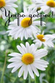 Открытки картинки с добрым утром ,доброе утро,пожелания доброго утра Открытка картинка красивая с пожеланиями доброго утра ,с добрым утром,открытки картинки доброе утро ,бодрого утра,пожелать доброго утра,доброе утро скачать бесплатно