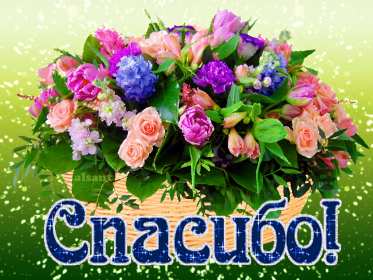 Открытка гиф,мерцающая спасибо,открытка гиф с надписью спасибо Открытки открытка гиф,анимационная с надписью спасибо,мерцающая открытка спасибо,большое спасибо,спасибо тебе огромное,открытки картинки гиф спасибо,благодарю .