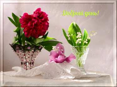 Открытка гиф добрый день,мерцающая картинка пожелания доброго дня  Открытка картинка открытки картинки гиф,мерцающая с пожеланиями доброго дня,добрый день,красивая,яяркая анимированная открытка доброго дня,добрый день скачать .