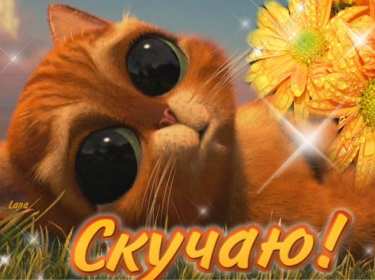 Открытка с надписью скучаю,красивая открытка скучаю,очень скучаю Открытка открытки скучаю ,очень скучаю, яркие , красивые картинки картинка скучаю,я скучаю открытка,скучаю,сильно скучаю открытка ,картинка скачать бесплатно . 