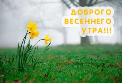 Открытка доброе весеннее утро,с добрым весенним утром,весеннее утро Картинка открытка доброе утро весны,с добрым весенним утром,весна доброе утро,картинки открытки с добрым весенним утром,весеннее доброе утро скачать бесплатно .