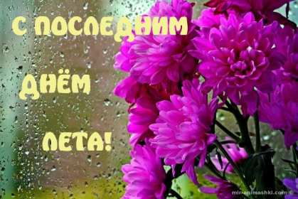 Открытка последний день лета,с последним днём уходящего лета Открытка картинка открытки картинки с последним днём лета,последний день лета,открытка картинка последний день лета,прощай лето,до свидания лето,конец лета открытки