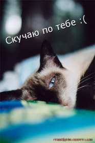 Открытки скучаю я скучаю по тебе,картинки с надписью скучаю . Картинки открытки с надписью ,с надписями скучаю,очень скучаю,картнки картинка скачую, надпись на открытки скучаю,очень скучаю,красивые открытки скучаю скачать.