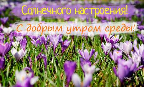 Открытка с пожеланиями доброго утра среды,с  добрым утром среда. Картинка,картинки с добрым утром среда,открытки открытка доброе утро среда,картинка,открытка красивая,яркая среда,доброе утро,дни недели,среда утро скачать бесплатно