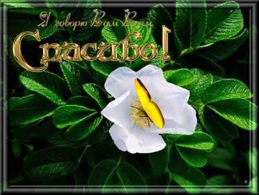 Открытка гиф,мерцающая спасибо,открытка гиф с надписью спасибо Открытки открытка гиф,анимационная с надписью спасибо,мерцающая открытка спасибо,большое спасибо,спасибо тебе огромное,открытки картинки гиф спасибо,благодарю .