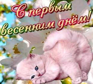 Открытки первый день весны ,с первым весенним днём ,1 марта,котёнок Открытки открытка с первым весенним днём ,первый день весны,первое марта,картинки картинка с началом весны,с весной,открытка картинка первый день весны 1 марта скачать