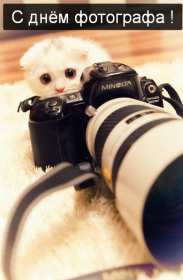 Открытка картинка день фотографа,праздником день фотографа,кот Открытка открытки картинка картинки день фотографа,с проф.праздником день фотографа,на день фотографа,красивая картинка открытка с днём фотографа скачать бесплатно