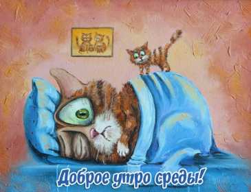 Открытка с пожеланиями доброго утра среды,с  добрым утром среда. Картинка,картинки с добрым утром среда,открытки открытка доброе утро среда,картинка,открытка красивая,яркая среда,доброе утро,дни недели,среда утро скачать бесплатно
