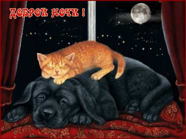 Открытка гиф доброй ночи , мерцающая открытка  доброй ночи . Открытки открытка картинки картинка гиф,мерцающая с пожеланиями доброй ночи,добрых снов,анимированные картинки открытки доброй ночи,пожеланиядоброй ночи скачать