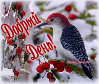 Открытка гиф добрый день,мерцающая картинка пожелания доброго дня  Открытка картинка открытки картинки гиф,мерцающая с пожеланиями доброго дня,добрый день,красивая,яяркая анимированная открытка доброго дня,добрый день скачать .